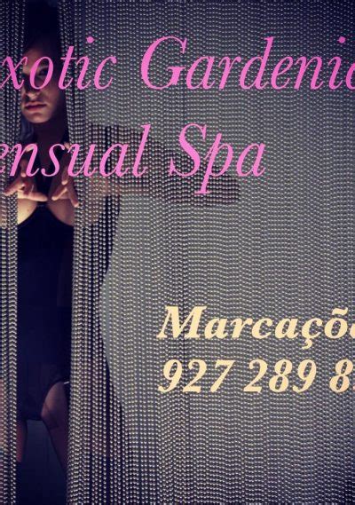 Sexual massage Porto Feliz